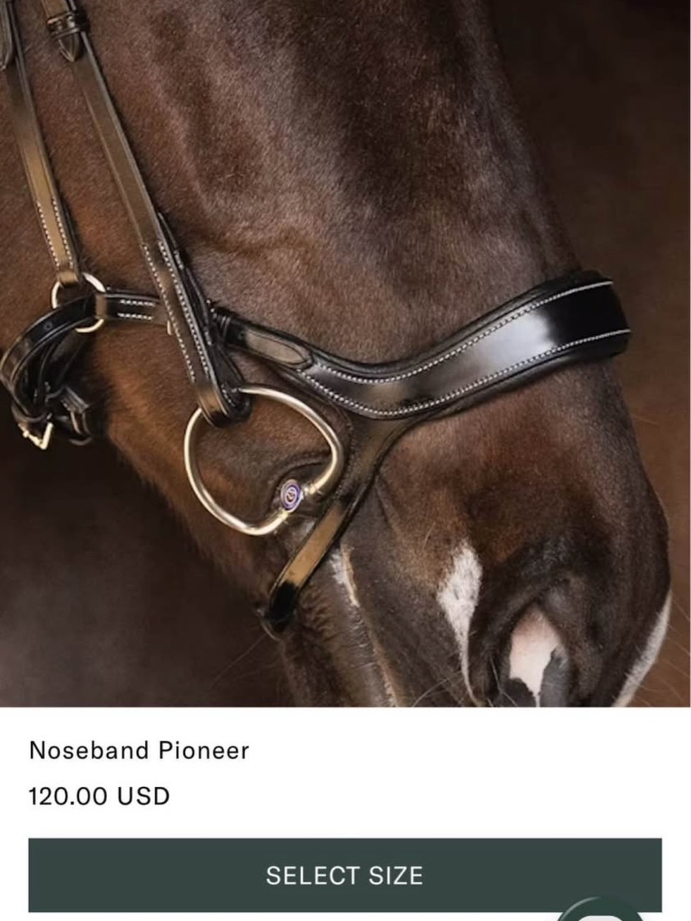 PS of Sweden PIONEER Black Leather Noseband with Silver Hardware NEW